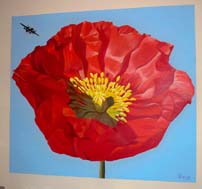 Poppy